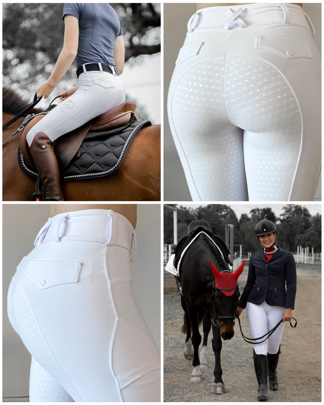 Brigs Breeches