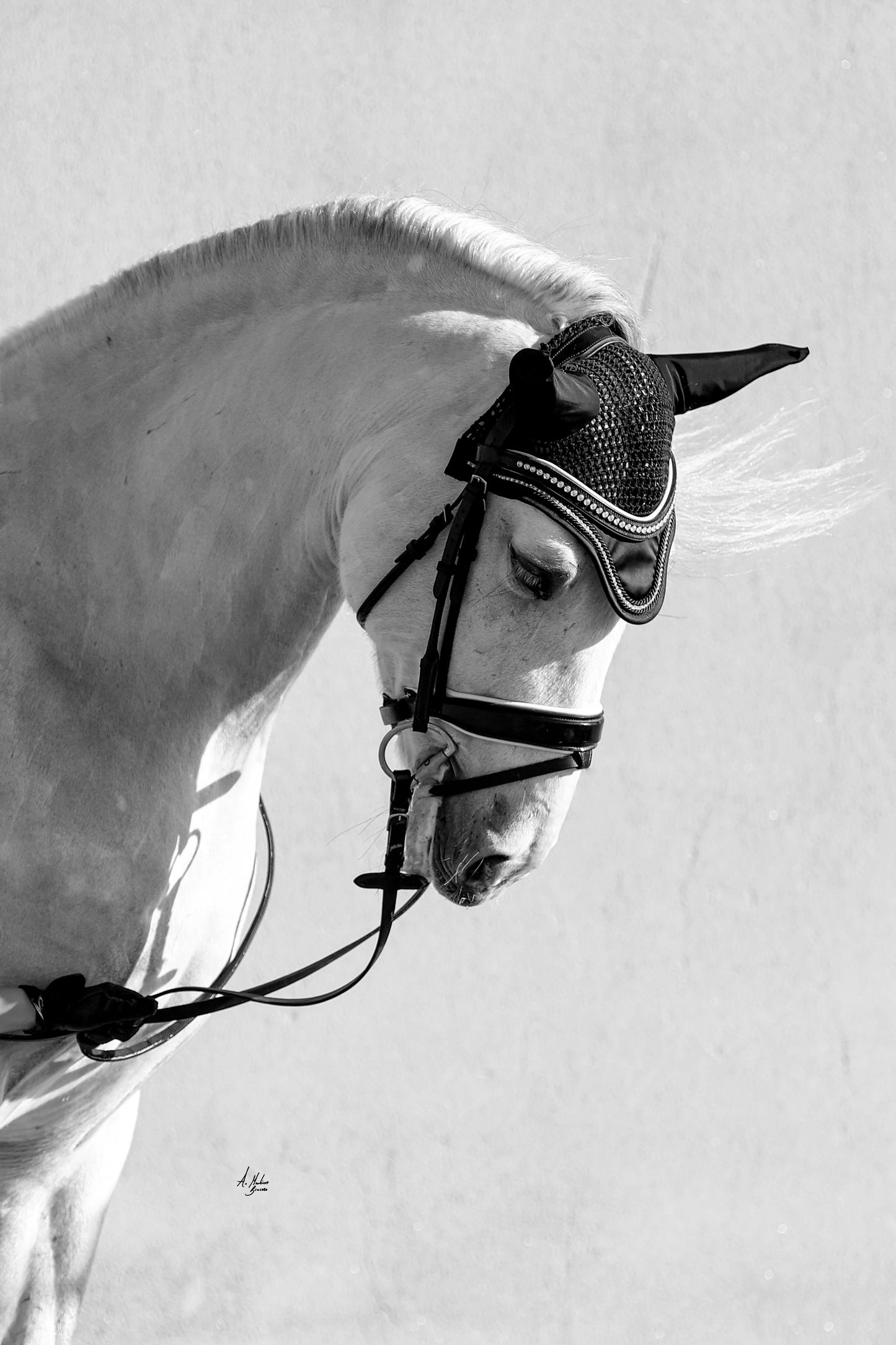 Ear Bonnet Classic Black