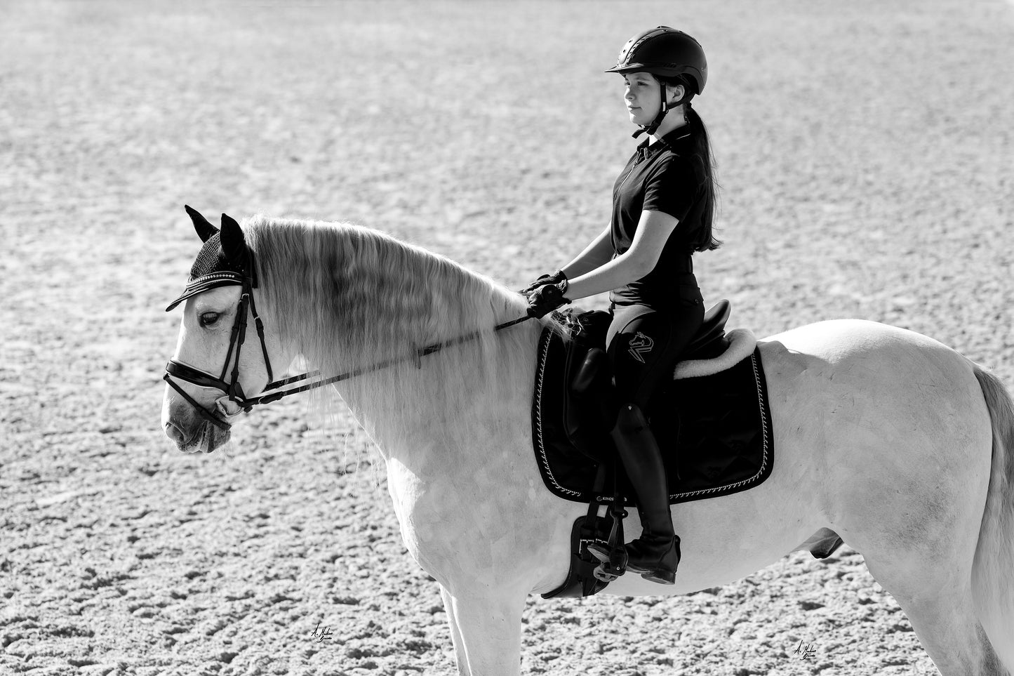 Saddlepad Classic Black Dressage