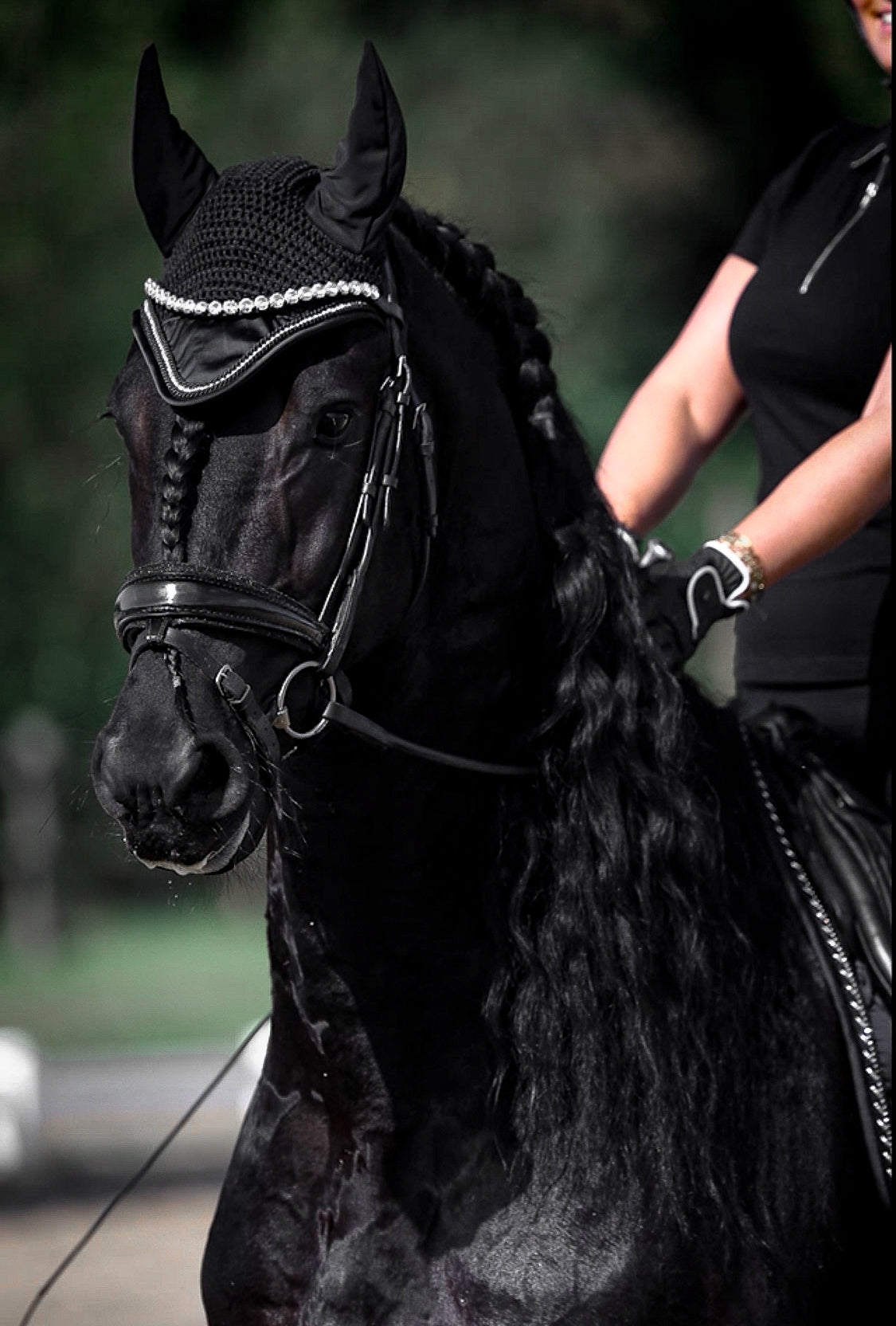 Ear Bonnet Classic Black