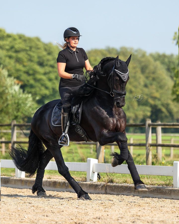 Polo Top Black