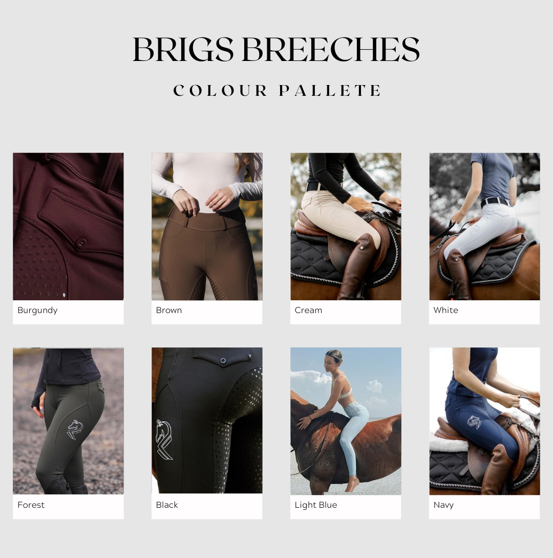 Brigs Breeches